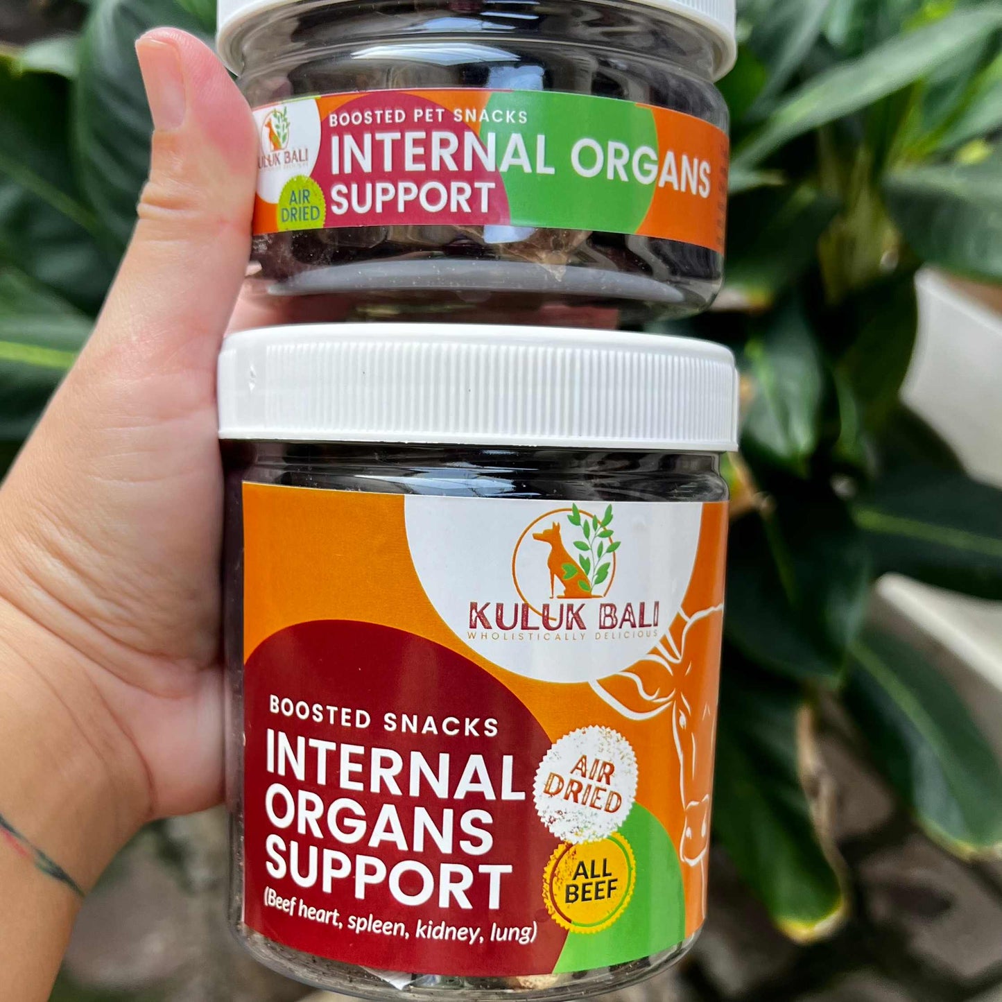 Internal Organs Support (Beef) Snack